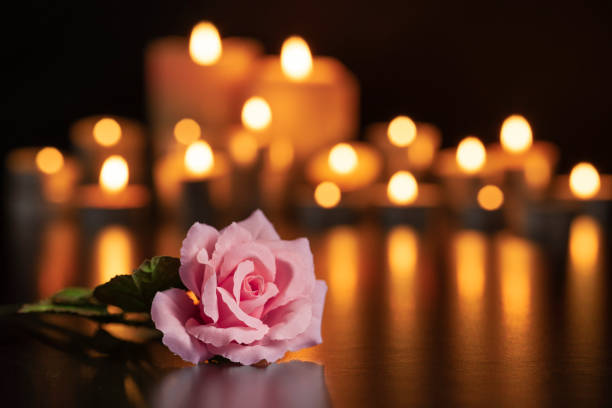 PINK ROSE ON THE GRAVE AND LIGHTED CANDLES UNFOCUSED IN THE BACKGROUND. il est essentiel de disposer des courts de tennis bien construits et équipés de mesures de sécurité avancées.